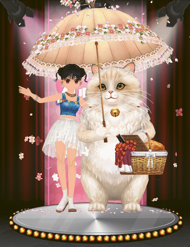CA_ALL_CAT_GIF (3)